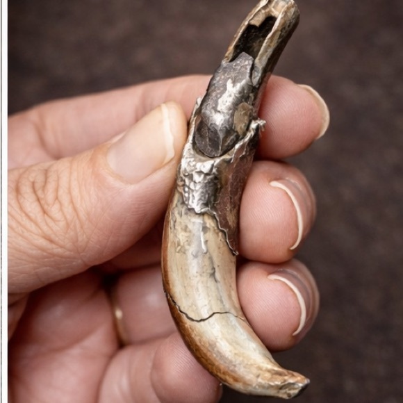 Vintage Wolf Head Tooth Pendant Rustic Tribal Talisman Claw Charm Boho Statement - Picture 3 of 3